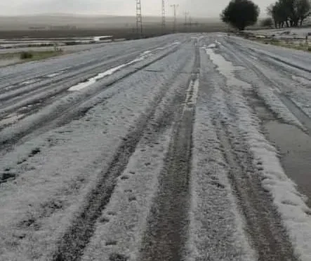 Aksaray Tarımı: Gürel ve Koçak’tan Güçlü İşbirliği
