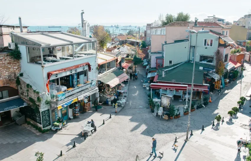 Samatya Meydanı Sağlık Hizmeti: Ücretsiz Veteriner Kontrolü